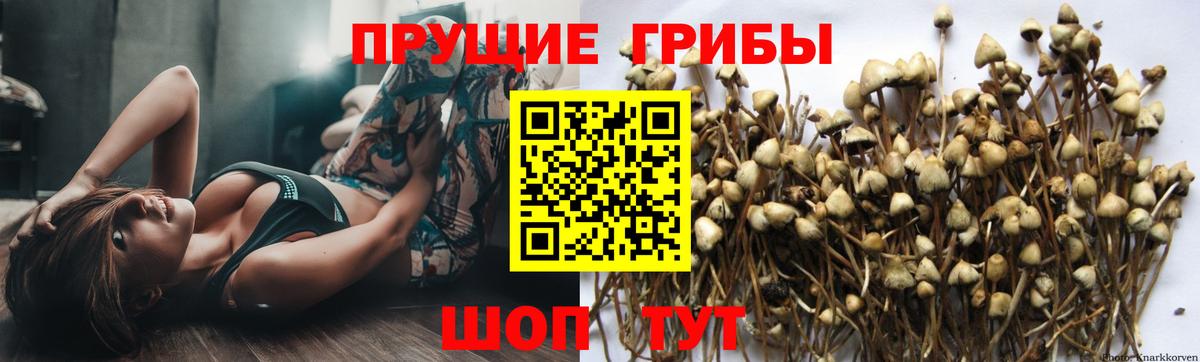 купить наркотики цена  Галлюциногенные грибы Magic Shrooms  Вход с VPN  Егорьевск 