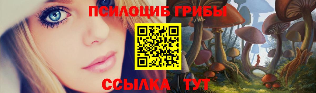 Галлюциногенные грибы прущие грибы Егорьевск